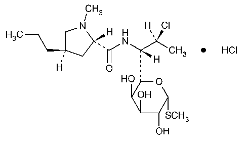 What is Clindamycin HCL?